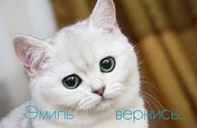 Яркие и красочные именные открытки для Эмиля                