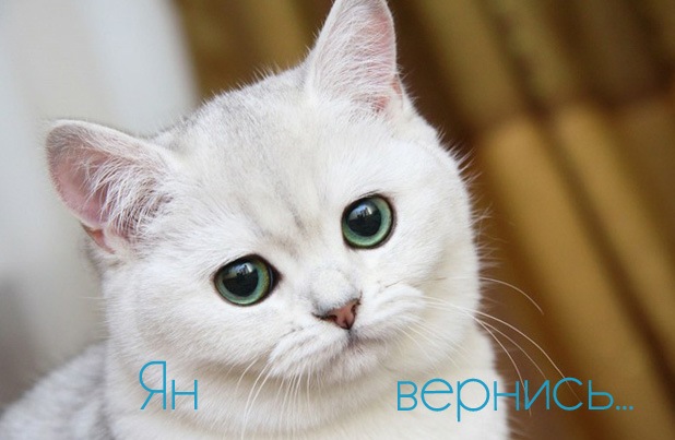 Яркие и красочные именные открытки с поздравлениями для Яна 