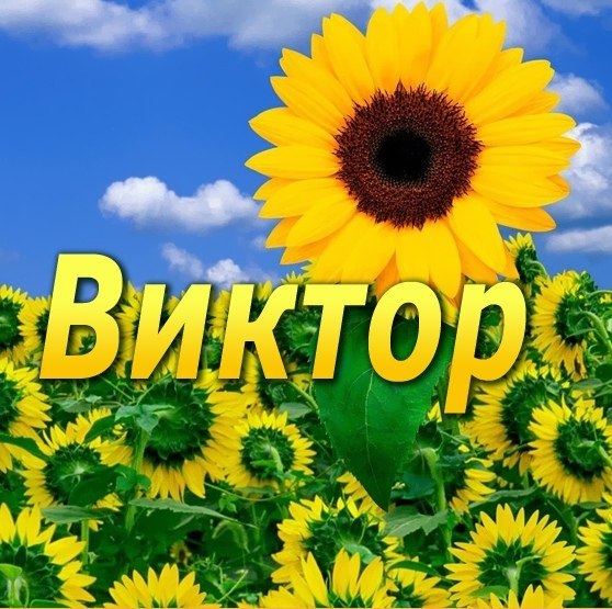 Именные открытки на праздники и каждый день для Виктора            