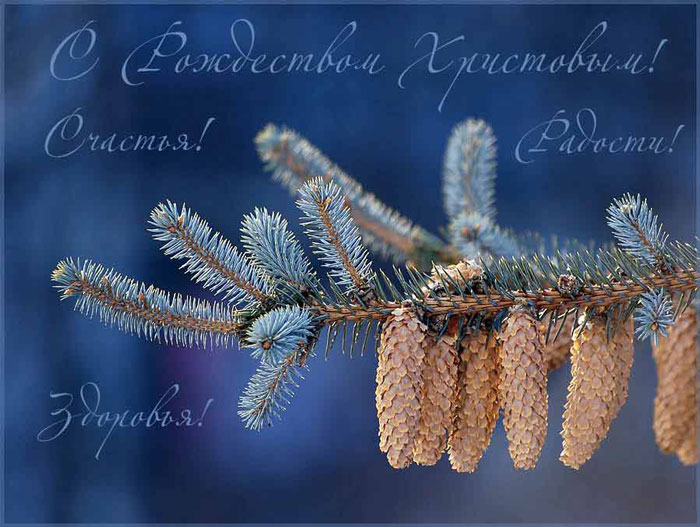 Открытки с теплыми пожеланиями на Рождество Христово. Зимний праздник 
