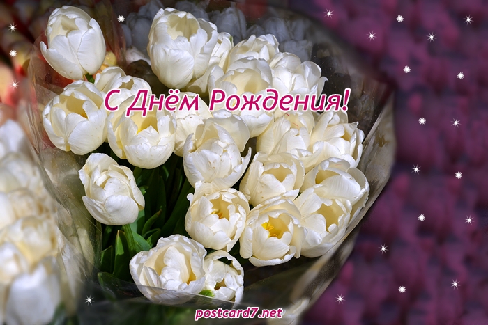 Красивые открытки с тюльпанами на день рождения              