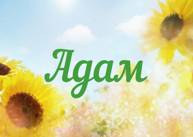 Именные открытки на праздники и каждый день для Адама       