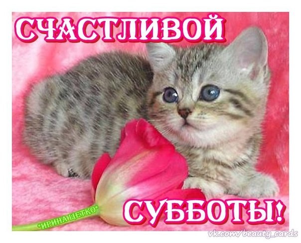 Яркие и красивые открытки с пожеланиями  отличной субботы   