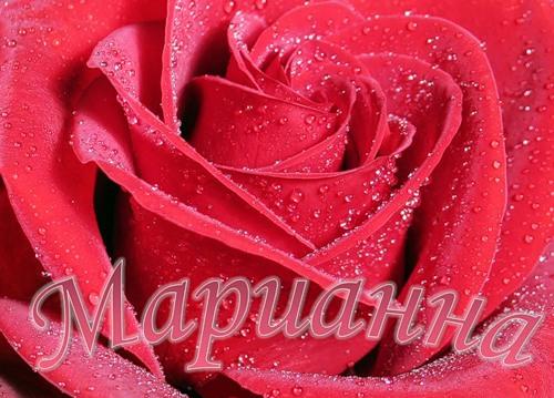 открытки для Марианны 