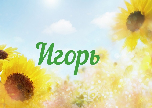 Открытки для Игоря 
