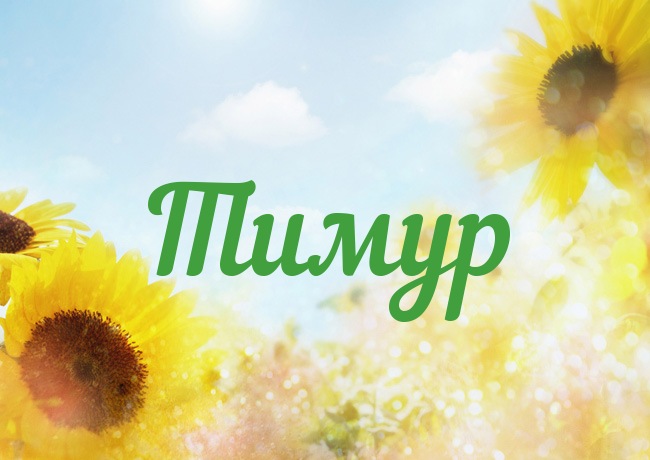 Открытки для Тимура 