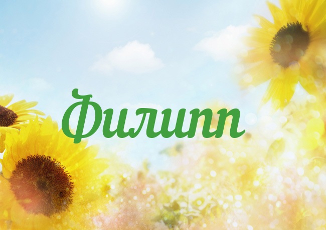 Открытки для Филиппа 