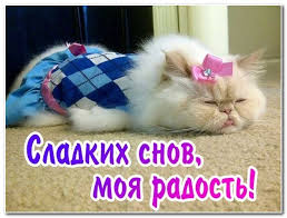 Открытки с пожеланиями спокойной ночи 