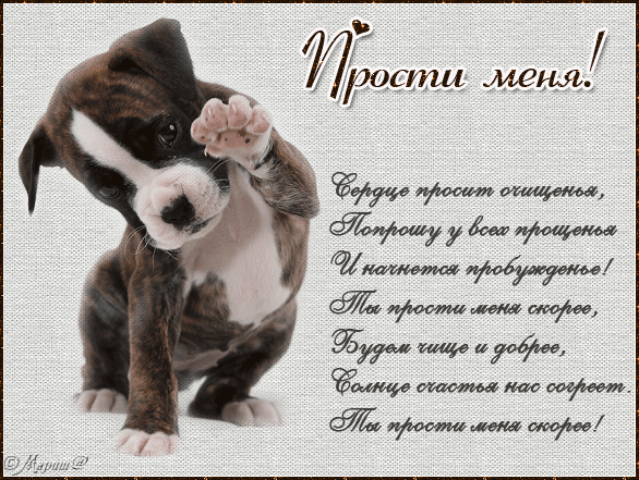 Милые открытки с извинениями 