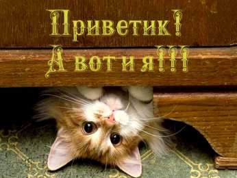 открытки с приветствием  Яркие и красивые открытки с приветствием на каждый  день          