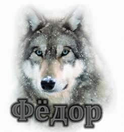 Открытки с именем Федор Яркие и красочные именные открытки для Федора                 