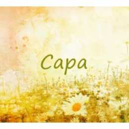 открытки с именем Сара Именные открытки  с поздравлениями и пожеланиями для Сары    