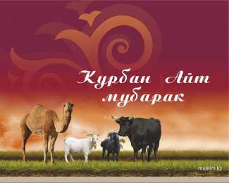 открытки на курбан айт  Красивые открытки с теплыми пожеланиями на Курбан Айт        