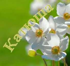 открытки с именем Катя Именные открытки с теплыми пожеланиями и поздравлениями для Катя