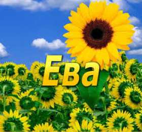 открытки с именем Ева  Именные открытки  с поздравлениями  и  пожеланиями  для Евы  