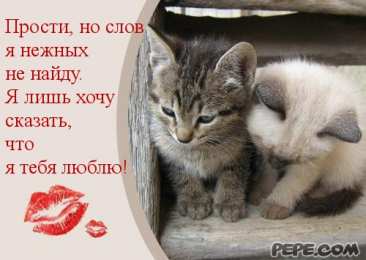 открытки с извинениями  Милые открытки с извинениями на каждый день. Открытки с извинениями 