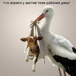 открытки с приколами на 1 апреля Приколы на День Дурака. Открытки с приколами на 1 апреля    