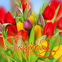 открытки с тюльпанами на 8 марта Красивые открытки с тюльпанами на 8 марта                    