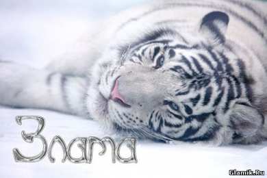 открытки с именем Злата Именные открытки с поздравлениями  и  пожеланиями для Златы  