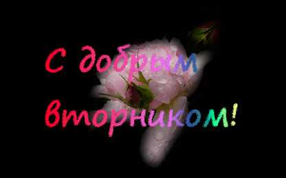 открытки с пожеланиями хорошей среды Яркие и веселые открытки с пожеланиями  замечательной среды   