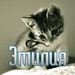 открытки с именем Эмилия именные открытки с поздравлениями на праздники для Эмилии   