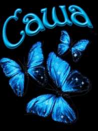 открытки с именем Александр именные открытки на праздники и каждый день для Александра  