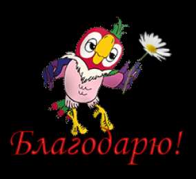 открытки с попугаем Кешей  Открытки на день рождения и другие праздники с попугаем Кешей 