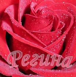 открытки с именем Регина  Именные открытки с поздравлениями и пожеланиями для Регины   