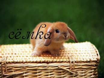 Открытки с именем Семен Красочные и яркие именные открытки для Семена                 