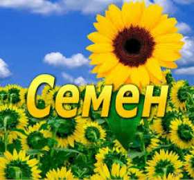 Открытки с именем Семен Красочные и яркие именные открытки для Семена                 