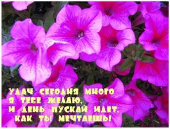 открытки с пожеланиями удачного дня  Красивые открытки с пожеланиями удачного дня. Хороших эмоций 