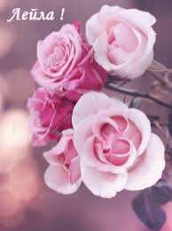 открытки с именем Лейла Именные открытки с поздравлениями на день рождения для Лейлы 