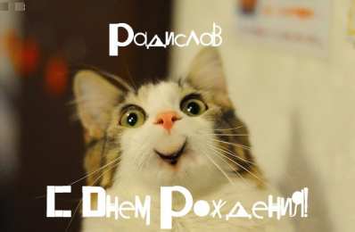 Открытки с именем Радислав  Яркие и красочные именные открытки с поздравлениями для Радислава 