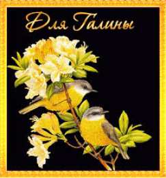 открытки с именем Галина  Красивые открытки с поздравлениями на разные праздники для Галины 