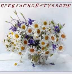 открытки с пожеланиями хорошей субботы  Яркие и красивые открытки с пожеланиями  отличной субботы   