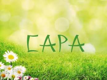 открытки с именем Сара Именные открытки  с поздравлениями и пожеланиями для Сары    