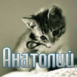открытки с именем Анатолий Именные открытки с поздравлениями и пожеланиями для Анатолия 