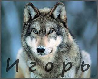 открытки с именем Игорь Красочные именные открытки на разные праздники для Игоря    