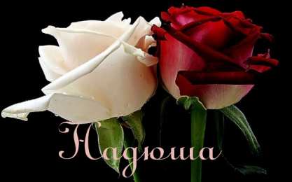 открытки с именем Надежда  Именные открытки с поздравлениями и пожеланиями для Надежды 