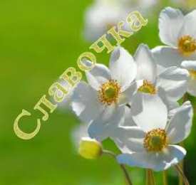 открытки с именем Слава Именные открытки с поздравлениями и пожеланиями для Славы   