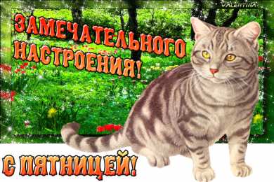 открытки с пожеланиями хорошей пятницы  Красивые открытки с пожеланиями хорошей пятницы. Хороших выходных