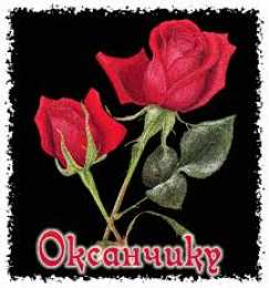 открытки с именем Оксана  Именные открытки с поздравлениями для Оксаны и Ксюши         