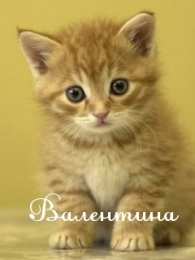 Открытки с именем Валентина  Именные открытки с поздравлениями и пожеланиями для Валентины 