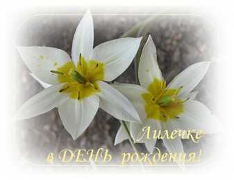 открытки с именем Лилия Именные открытки с пожеланиями и поздравлениями для Лилии    