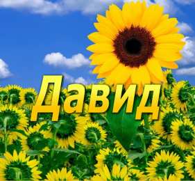 открытки с именем Давид Именные открытки с поздравлениями и пожеланиями для Давида  
