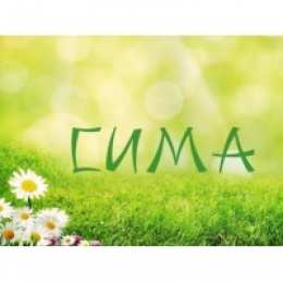 открытки с именем Серафима Именные открытки с поздравлениями и пожеланиями для Серафимы 