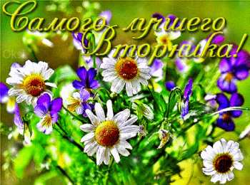 открытки с пожеланиями хорошей среды Яркие и веселые открытки с пожеланиями  замечательной среды   