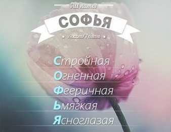 открытки с именем Софья Именные открытки с поздравлениями и пожеланиями для Софьи    