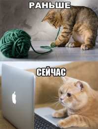 Остроумные открытки с приколами Прикольные остроумные открытки. открытки с веселыми приколами