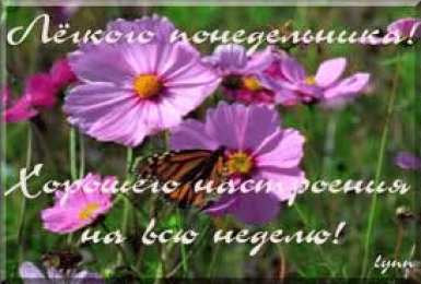 открытки с пожеланиями удачного понедельника  Открытки с пожеланиями удачного и легкого понедельника               
